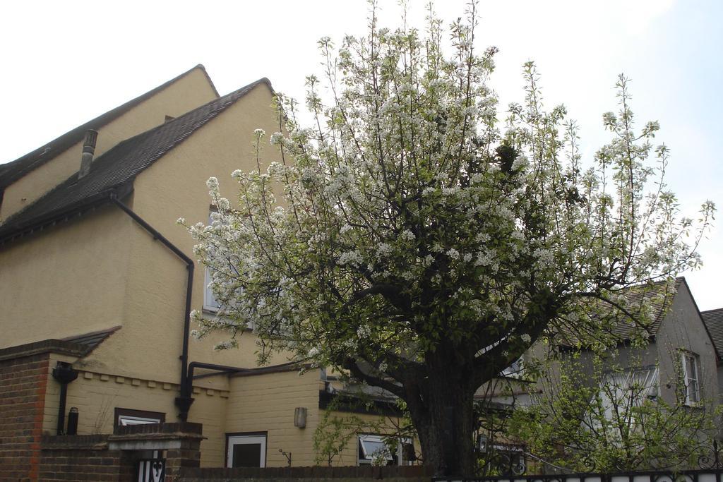 Compton Guest House Londyn Zewnętrze zdjęcie